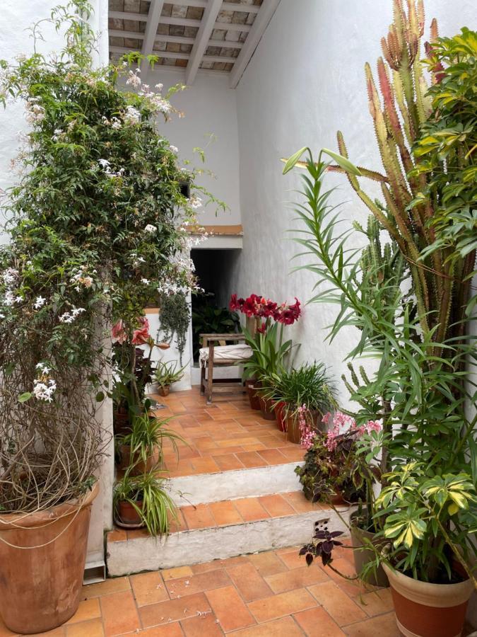 Casa Dulce Villa Вехер де ла Фронтера Екстериор снимка